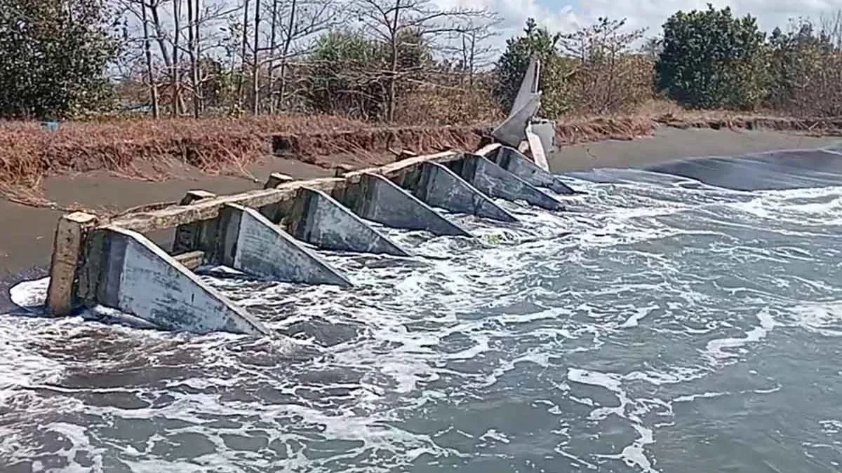 Infrastruktur Kritis Ambruk: Sinyal Bahaya dari Pelabuhan dan Jembatan