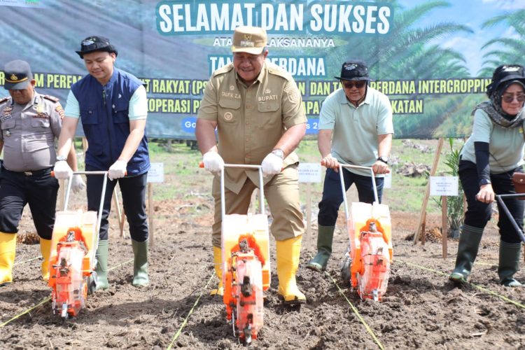 Bupati Asahan Perluas Program Pertanian Serentak dan UMKM Ekspor