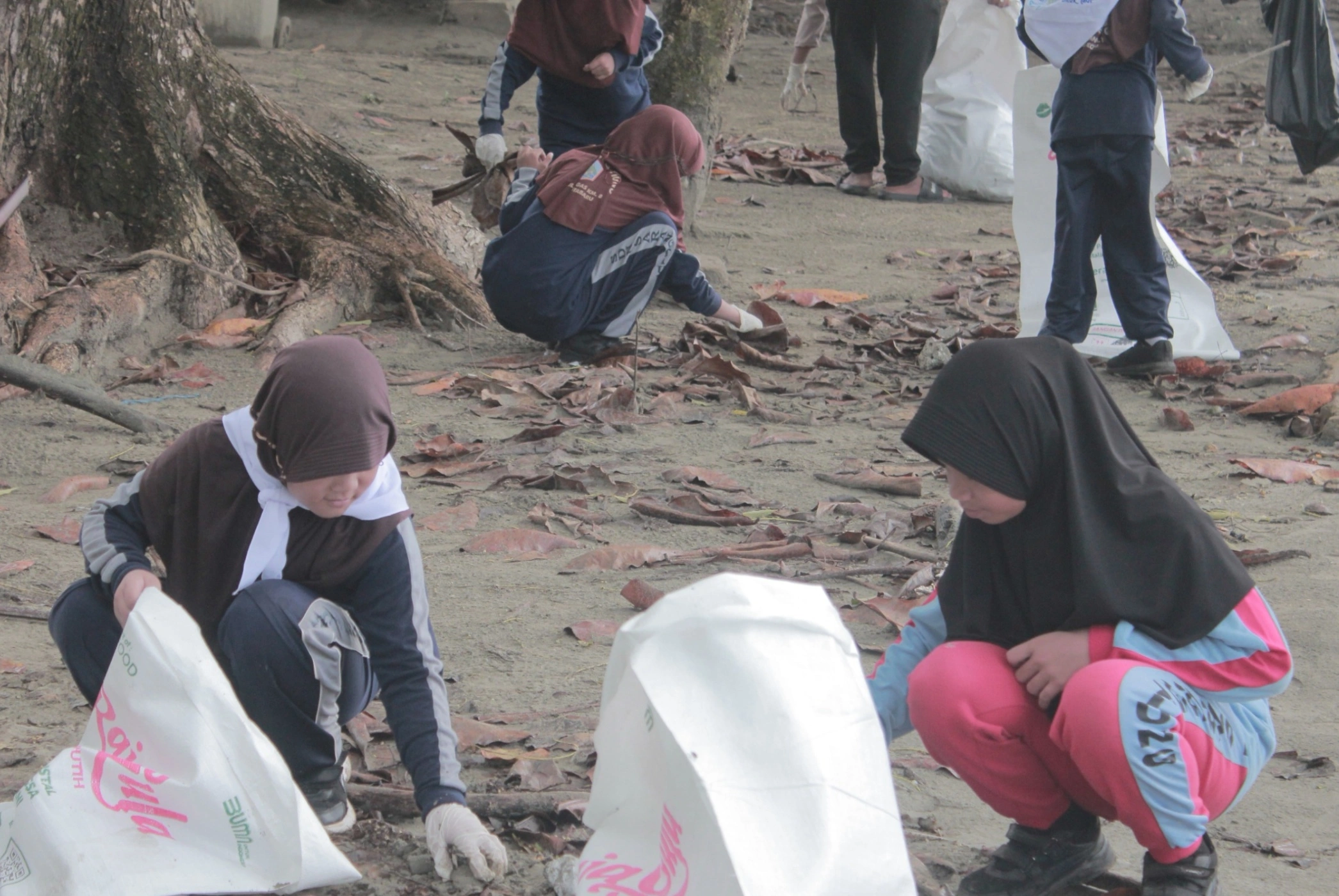 Dari Kelas ke Pantai: Sekolah Pesisir Mengubah Pelajaran Jadi Aksi Lingkungan
