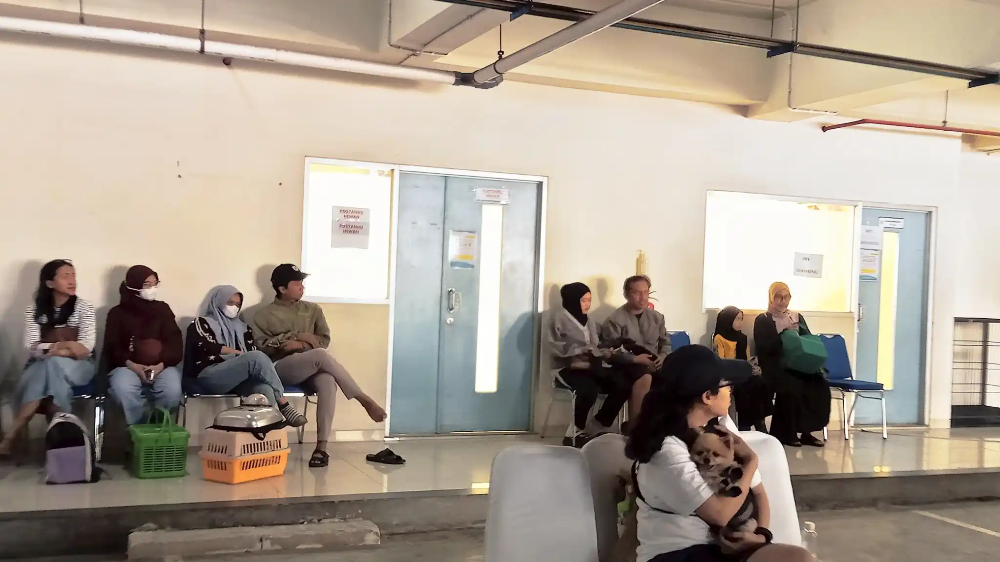 7 Olahraga Seru Bersama Anjing untuk Tubuh Sehat dan Hati Tenang