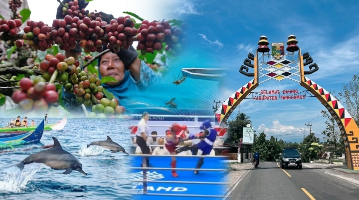 Sektor Perkebunan Lampung Jadi Pilar Pertumbuhan Baru