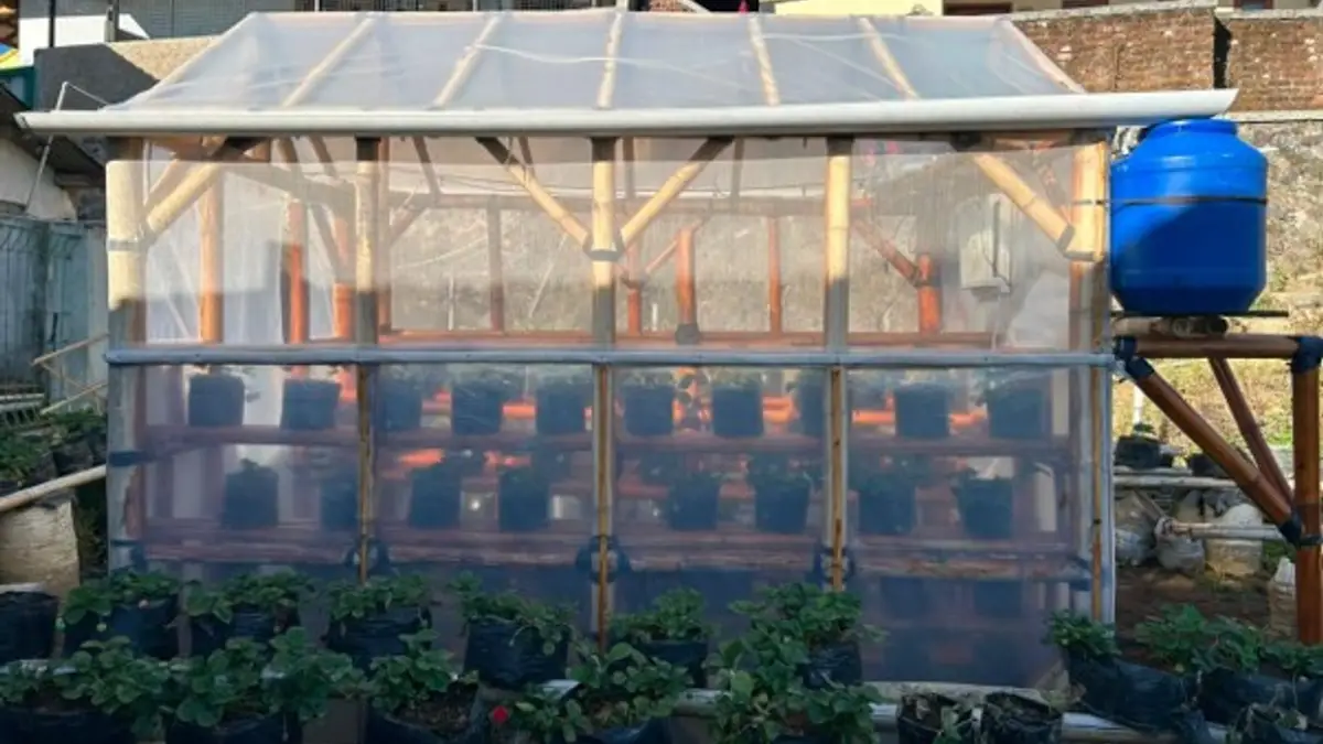 Sensor IoT Kelembaban Tanah Mengubah Cara Petani Mengelola Air