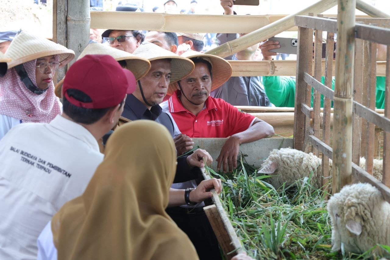 Gelombang PHK 43 Ribu Buruh Dan Krisis Penyerapan Tenaga Kerja