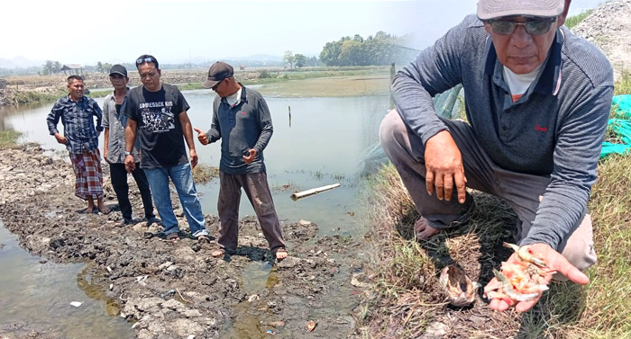 Petani Rugi Puluhan Juta: Ganti Rugi Tanah Proyek Masih Setengah Hati