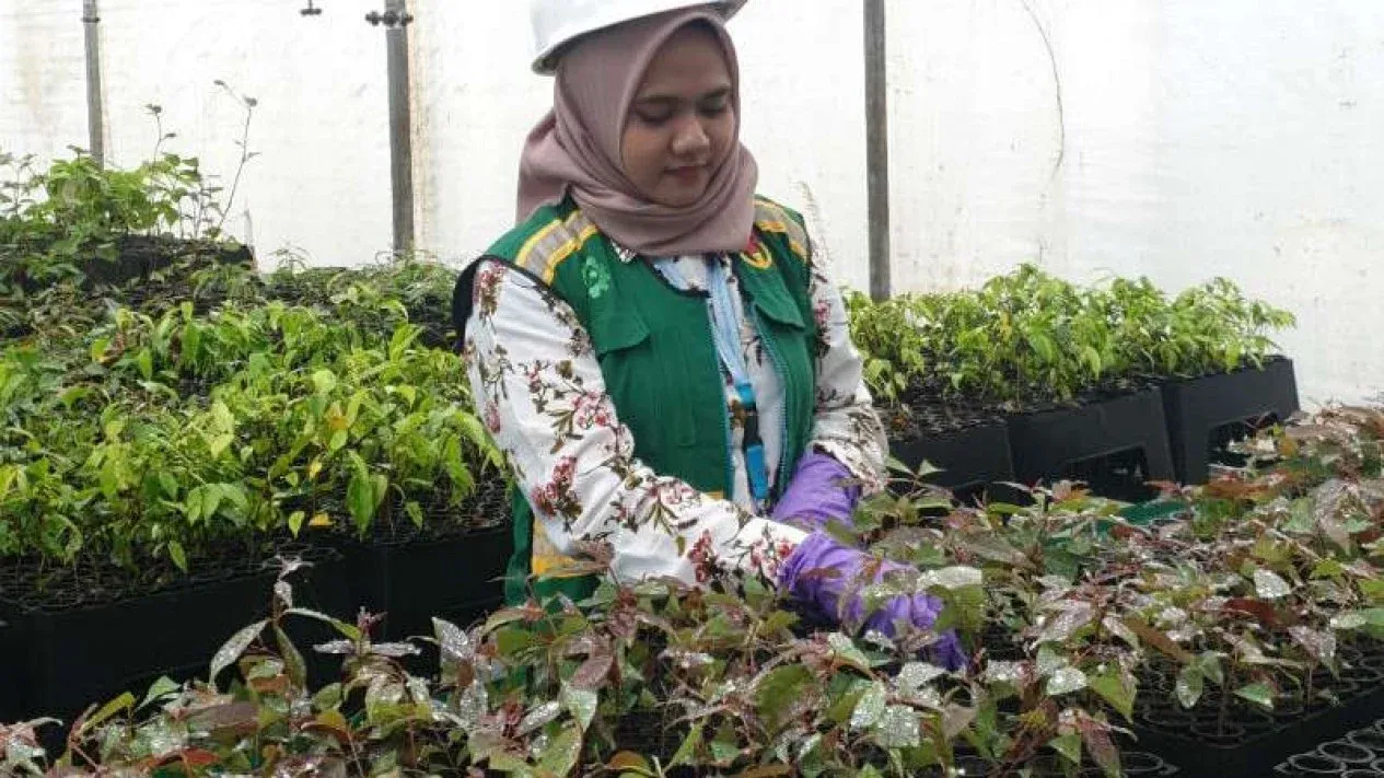 Dari Bijih Mentah ke Produk Jadi: Lompatan Industrialisasi Mineral