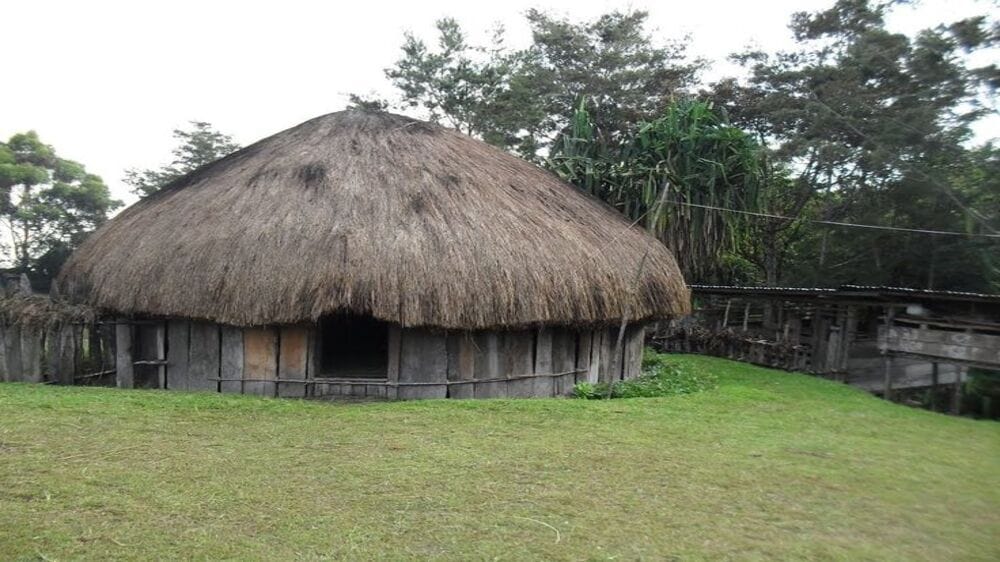 Rumah Honai: Inspirasi Hunian Berkelanjutan yang Hangat dan Efisien