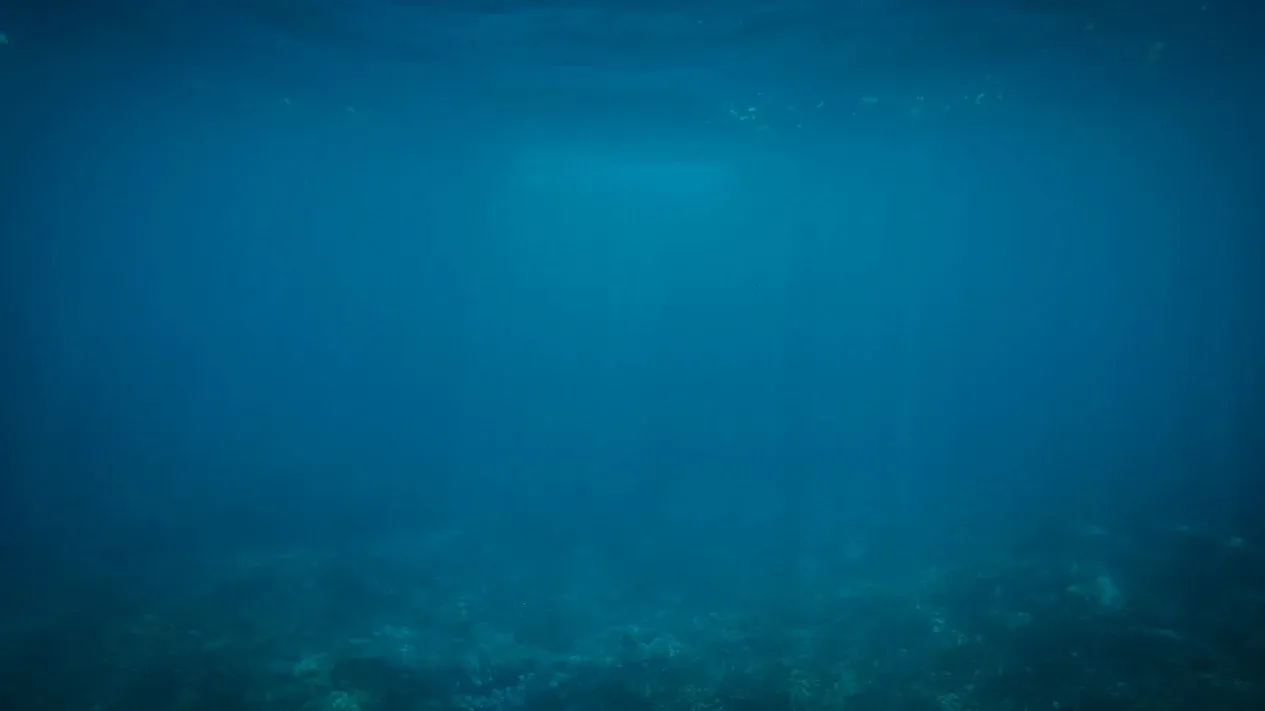 DeepLitterAI: Sistem AI yang Mengungkap Sampah Plastik di Dasar Laut