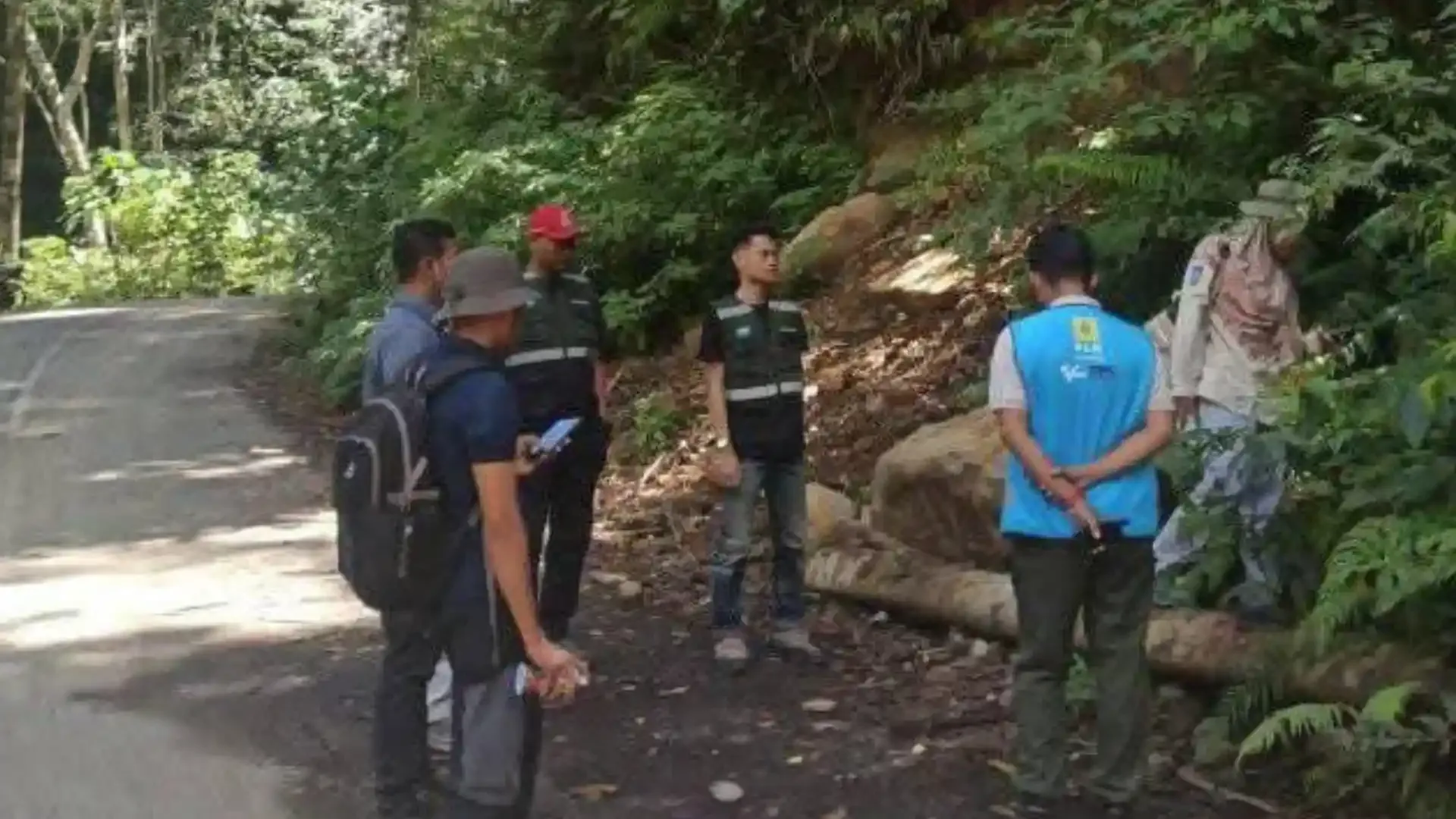 Jaringan Listrik Pedesaan: Saatnya PLN Mempercepat Elektrifikasi Daerah Terpencil