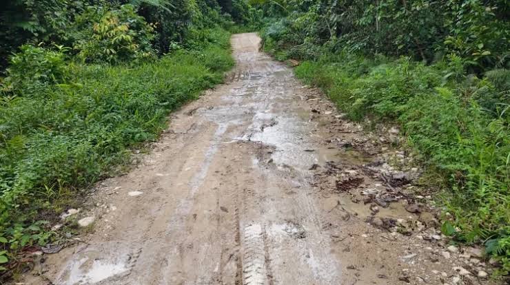 Jalan dan Listrik Masih Jadi Mimpi di Desa Terpencil