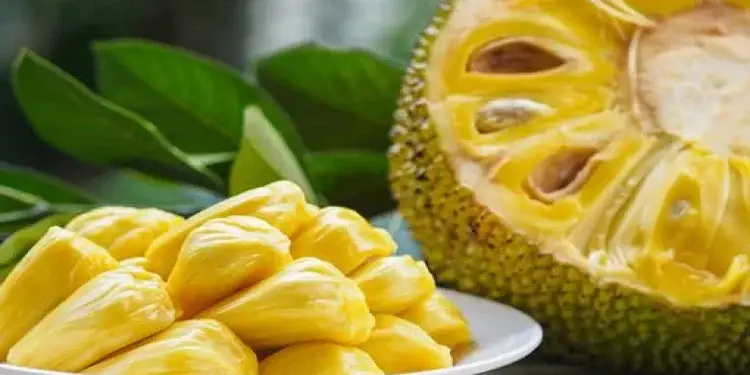 5 Superfood Lokal yang Sering Diabaikan untuk Imunitas dan Pencernaan