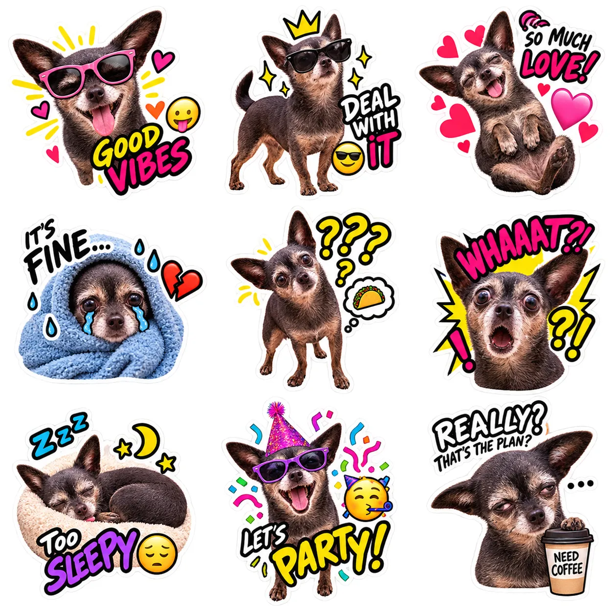 Buat Stiker WhatsApp Personal dengan ChatGPT dari Foto Hewan