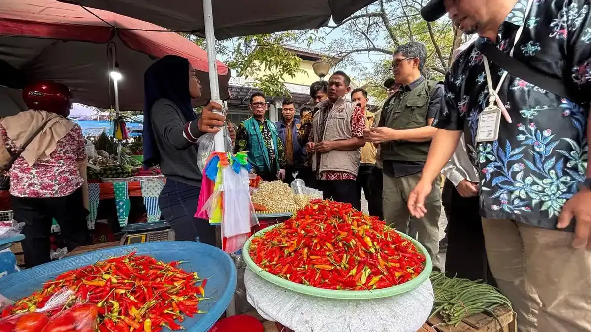 Mengapa Harga Cabai Terus Melambung dan Cara Cerdas Memilihnya di Pasar