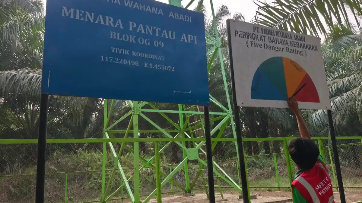 Drone Patroli Udara: Senjata Baru Cegah Karhutla di Lahan Gambut