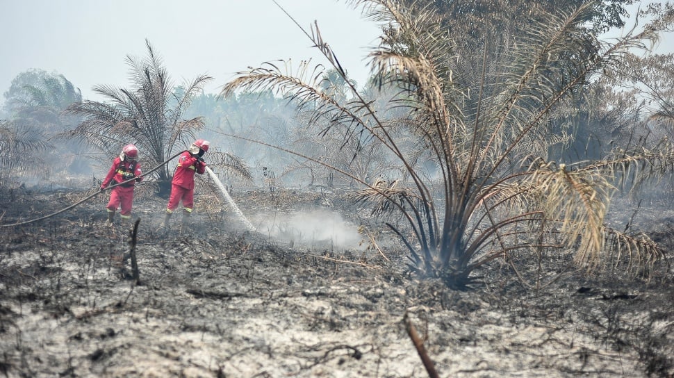 Kabut Asap Lintas Negara dan Ujian Serius ASEAN