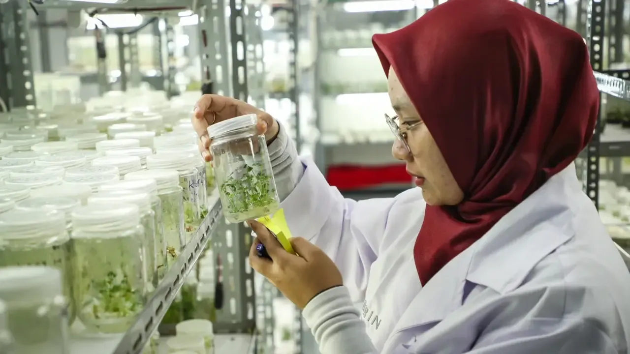 Enam Kementerian Berebut Tambahan Anggaran: Siapa yang Benar-Benar Jadi Prioritas?