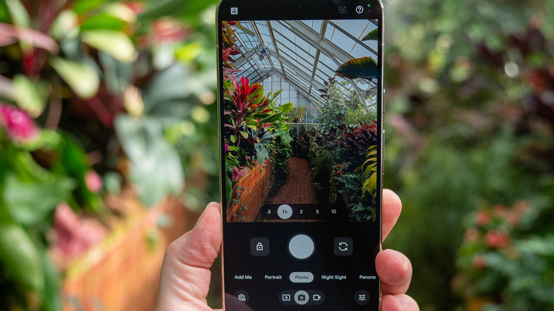 Pixel 11 Camera Looks: Jadikan Gaya Foto Favorit Sebagai Default