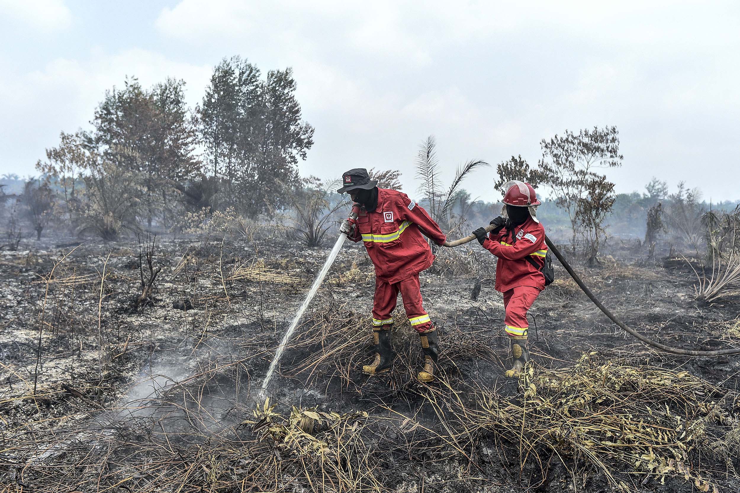 Lonjakan Hotspot Karhutla dan Krisis ISPA di Sumsel