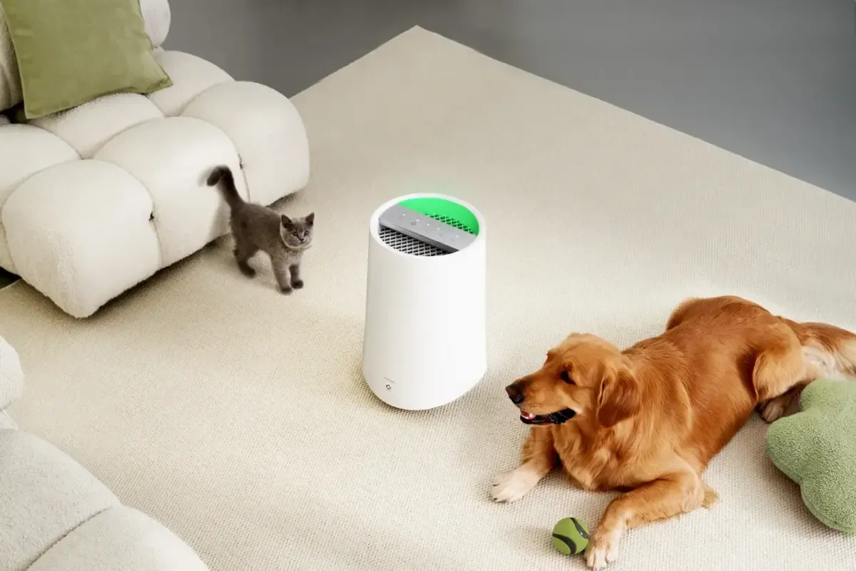 Air Purifier untuk Pemilik Hewan: Ion & Filter Anti Bulu