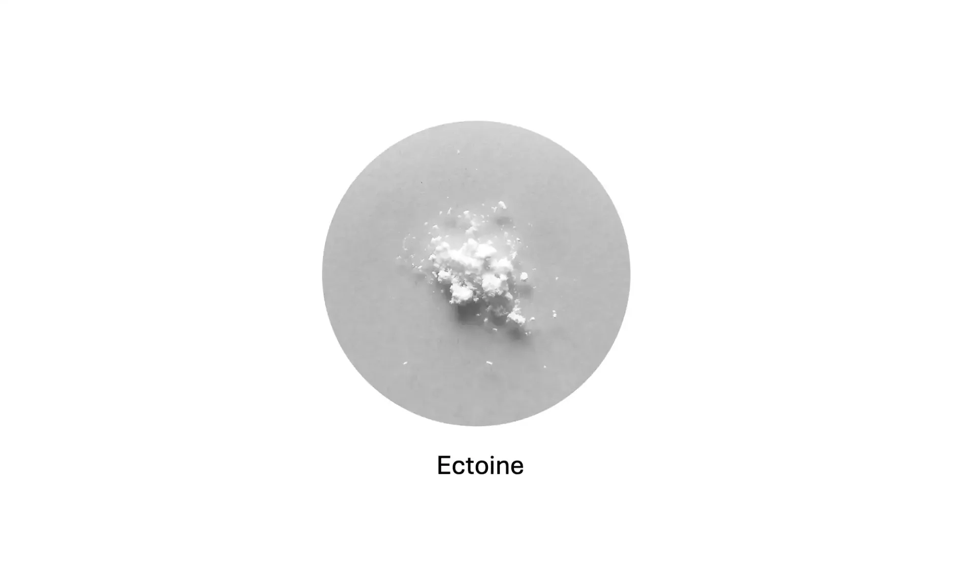 Ectoine dari Mikroba Laut: Peluang Emas Anti-Aging Lokal