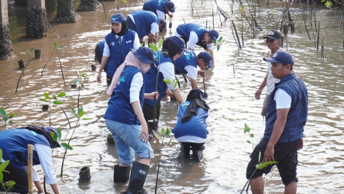 Dari Pelestarian Mangrove ke UMKM: Ekonomi Pesisir yang Menguntungkan Warga