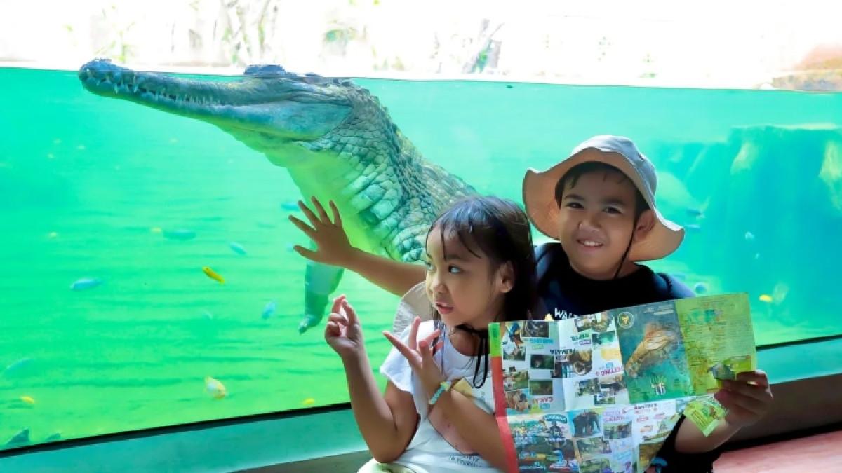 Tiket Taman Hiburan Yogyakarta Mulai Rp65 Ribu: Panduan Lengkap Harga & Booking Online