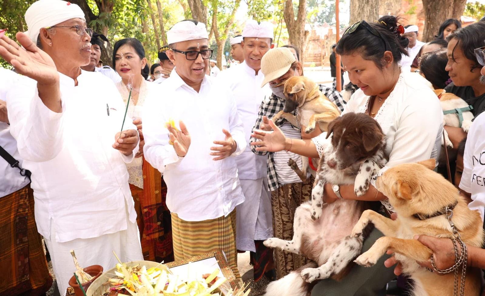 Panduan Lengkap Mengikuti Vaksinasi dan Sterilisasi Hewan Gratis