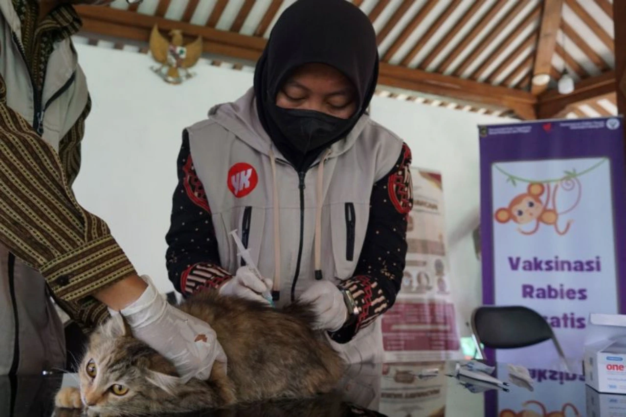 Vaksin Rabies Gratis untuk Hewan Peliharaan: Cara Ikut Program dan Syaratnya