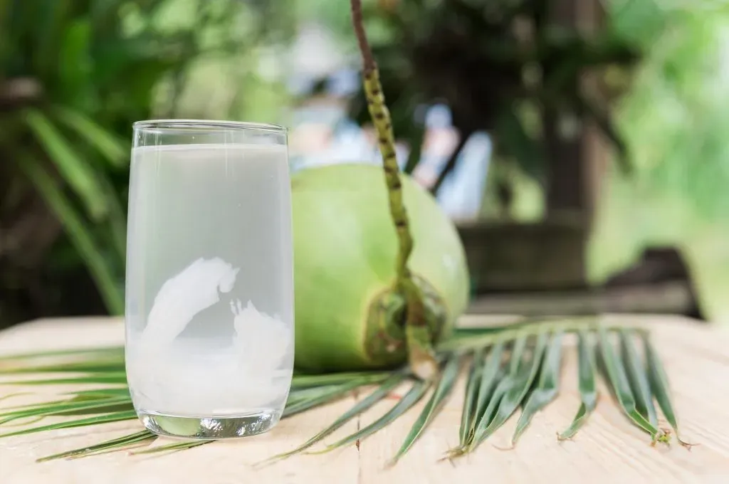 Minuman Elektrolit vs Air Kelapa untuk Hidrasi Optimal