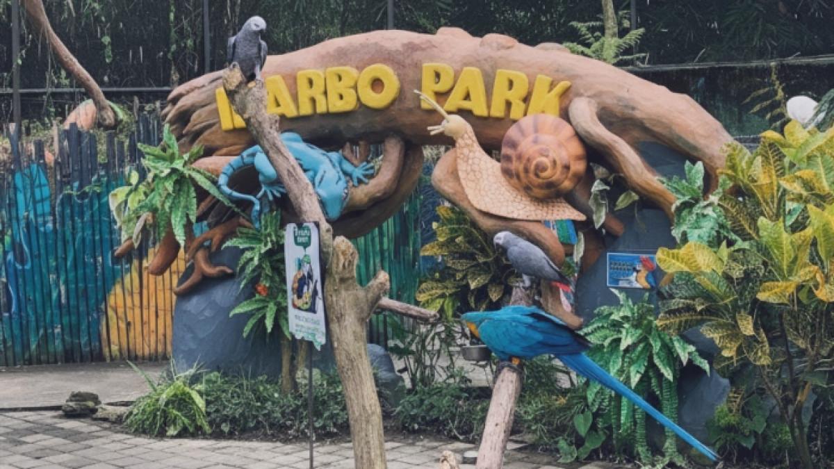 Taman Hiburan Yogyakarta Mulai Rp30 Ribu: Panduan Tiket & Booking Online