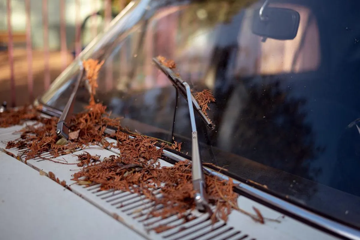 Wiper Mobil Sering Diabaikan, Padahal Kunci Visibilitas dan Keselamatan