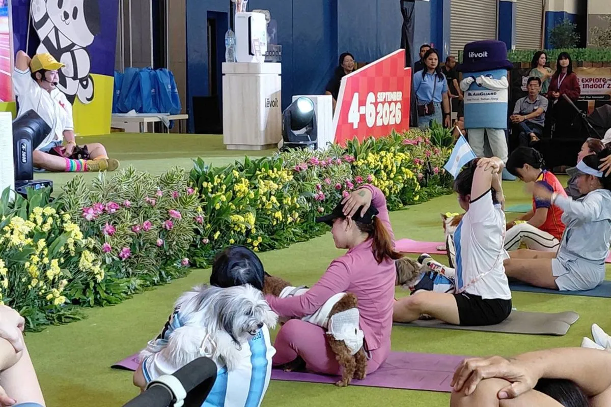 7 Olahraga Seru untuk Anjing: Panduan Aktivitas Fisik dan Mental