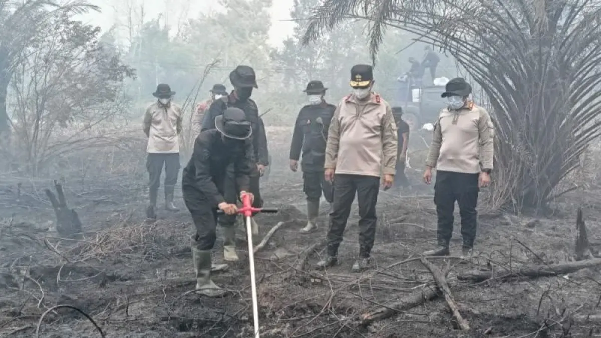Drone Thermal Bongkar Strategi Baru Deteksi Api Tersembunyi di Lahan Gambut