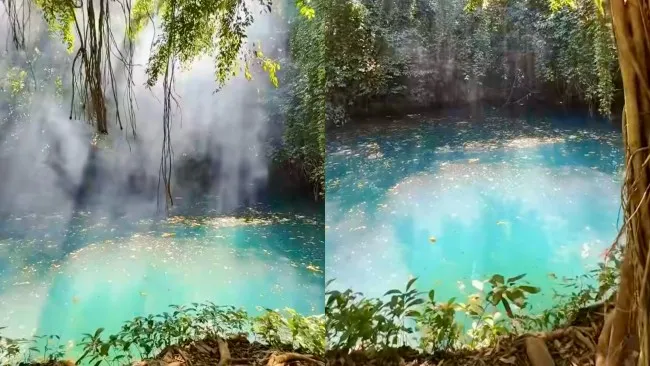 Pantai Malang Selatan: Panduan Liburan Keluarga Hemat dari Jakarta