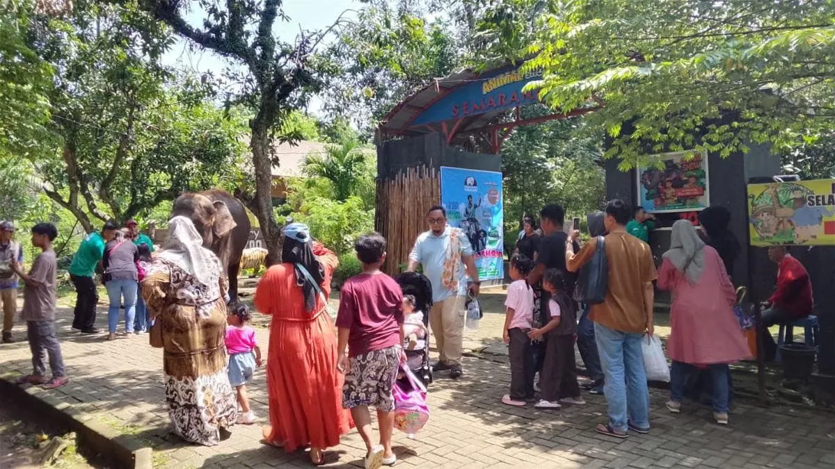 Panduan Lengkap Diskon Tiket Pesawat dan Wisata untuk Peserta MTQ Nasional XXXI