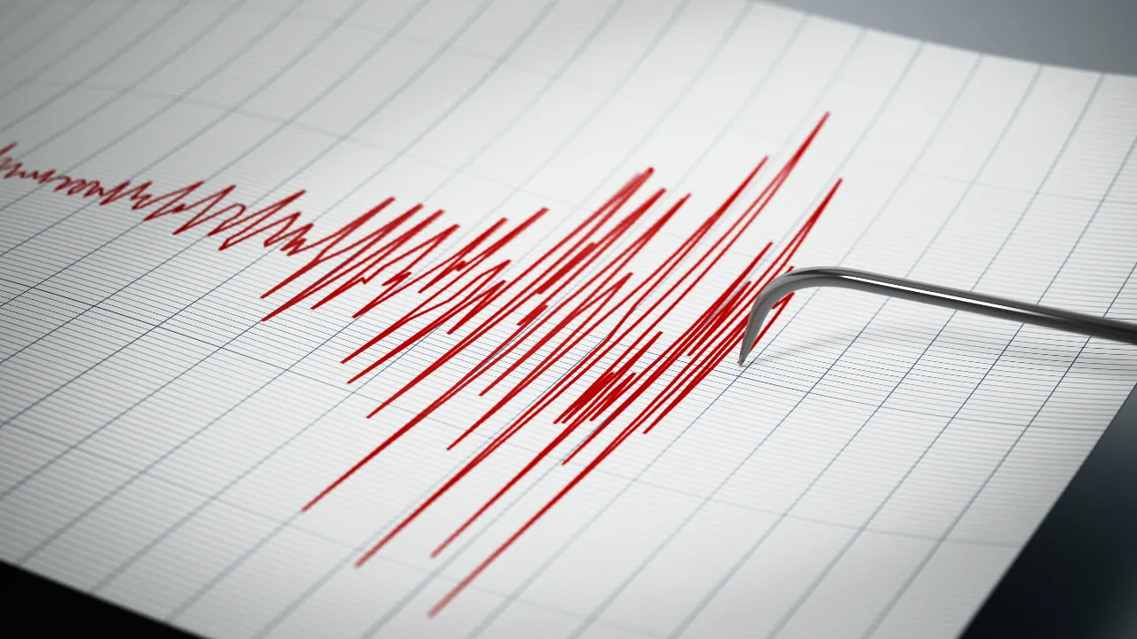 Lebih dari 14.000 Gempa Susulan di Flores: Apa Artinya bagi Warga