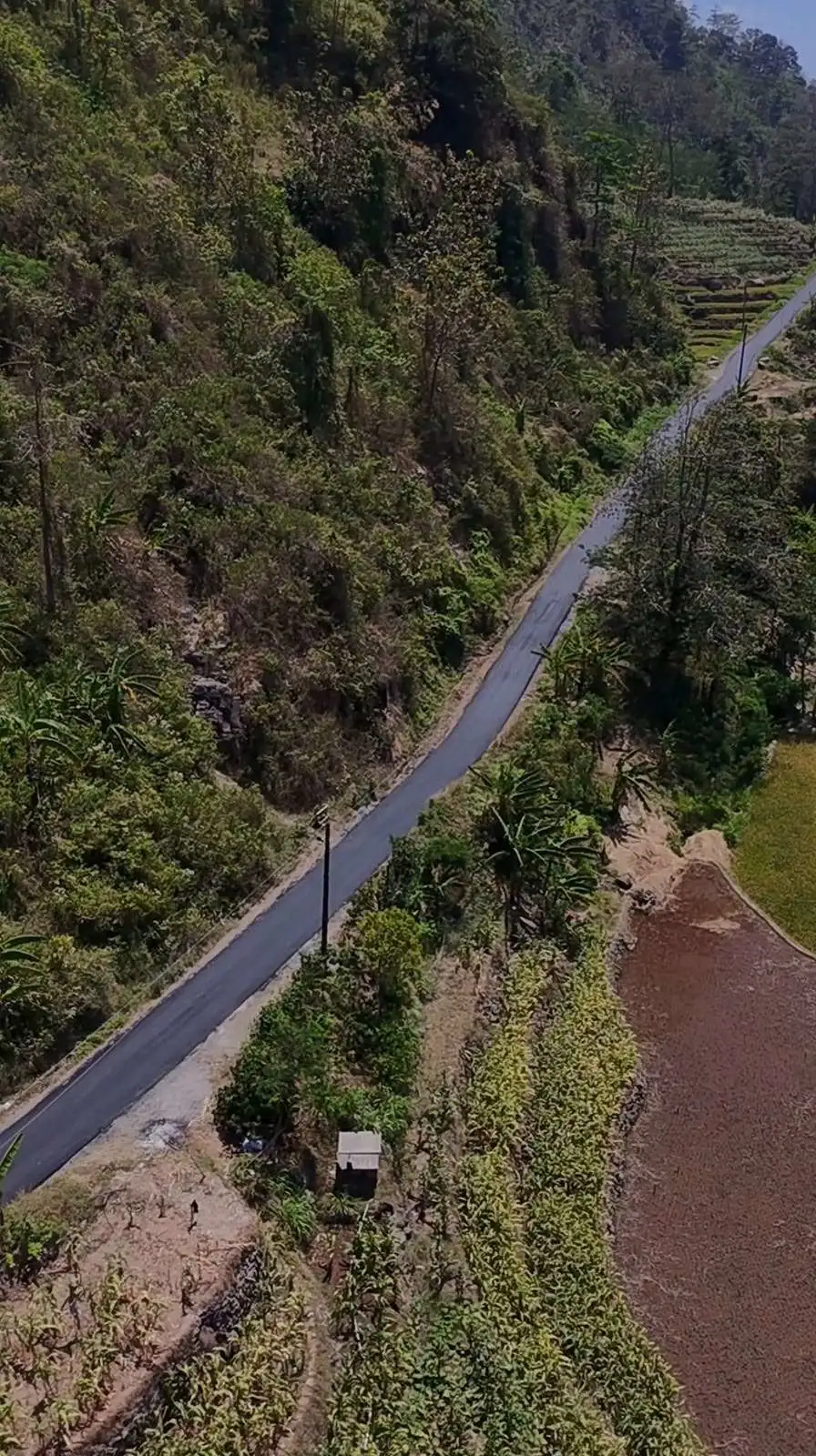 Jalan Desa Tempur Akhirnya Mulus, Saatnya Lonjakan Ekonomi dan Wisata