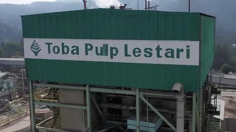 Skema Ekspor Pulp PT TPL Terbongkar: Negara Rugi Rp 2 Triliun
