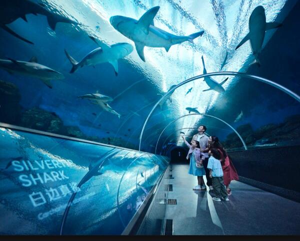Resorts World Sentosa: Satu Destinasi, Dari Atraksi Keluarga hingga Liburan Mewah