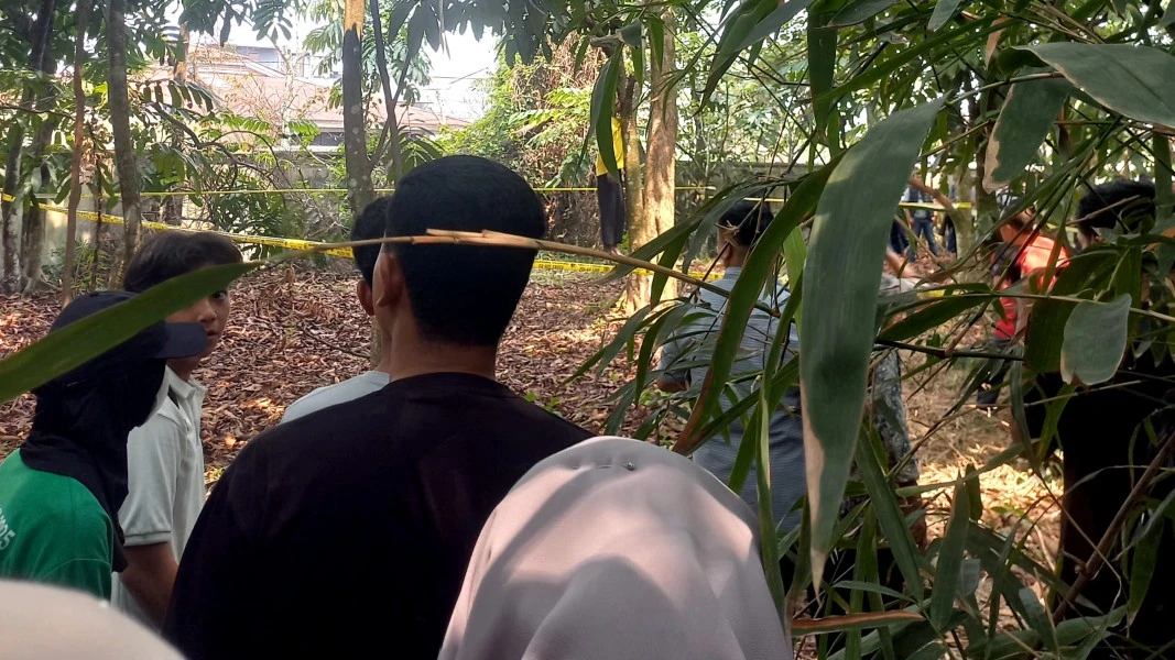 Sistem Pengawasan Rumah Sakit Jiwa yang Bocor