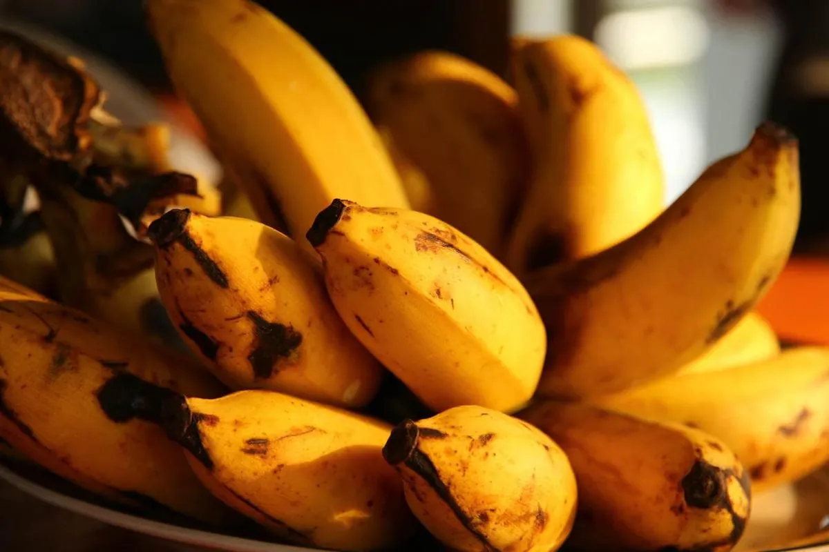 Kesalahan Menyimpan Buah dan Sayur di Kulkas yang Diam-Diam Merusak Nutrisi