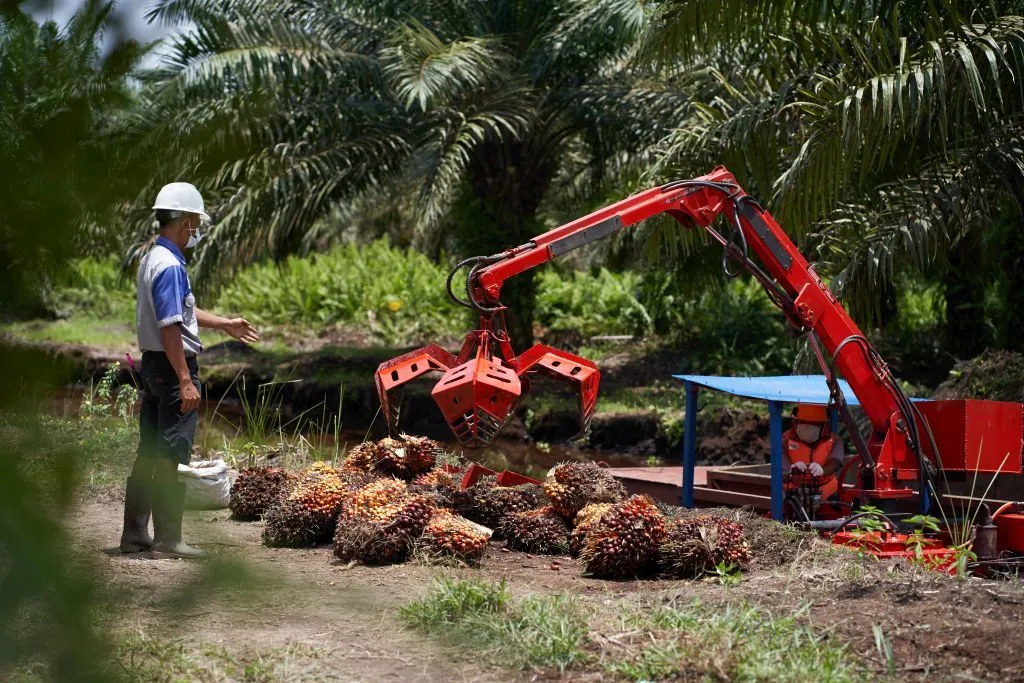 Sungai Kapuas dan Mahakam Mengering, Krisis Logistik Energi-Pangan