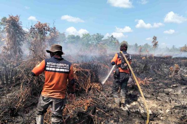 Emisi Kebakaran Hutan Picu Darurat Udara dan Guncang Target Iklim