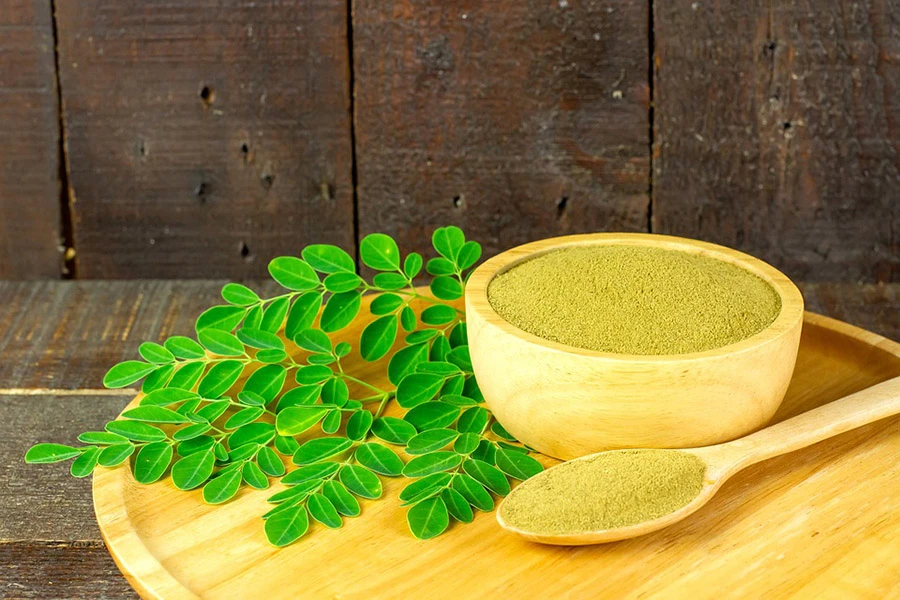 Daun Kelor dan Perlindungan Otak dari Stres Perundungan