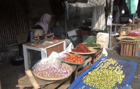 Cabai Rawit Merah Tembus Rp70.000: Cara Memilih dan Alternatif Hemat