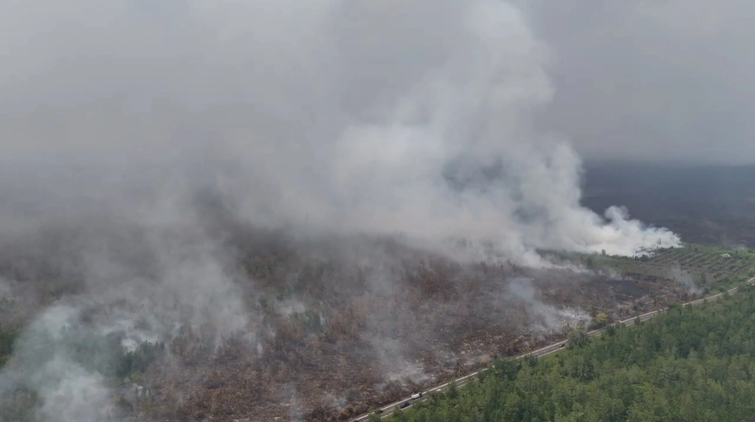 Emisi Kebakaran Hutan Picu Darurat Udara dan Guncang Target Iklim