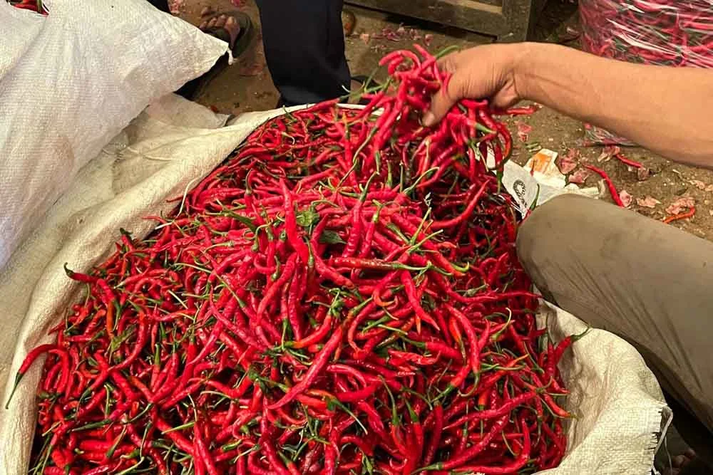 Harga Cabai dan Bumbu Dapur Naik Tajam: Saatnya Belanja Lebih Cerdas