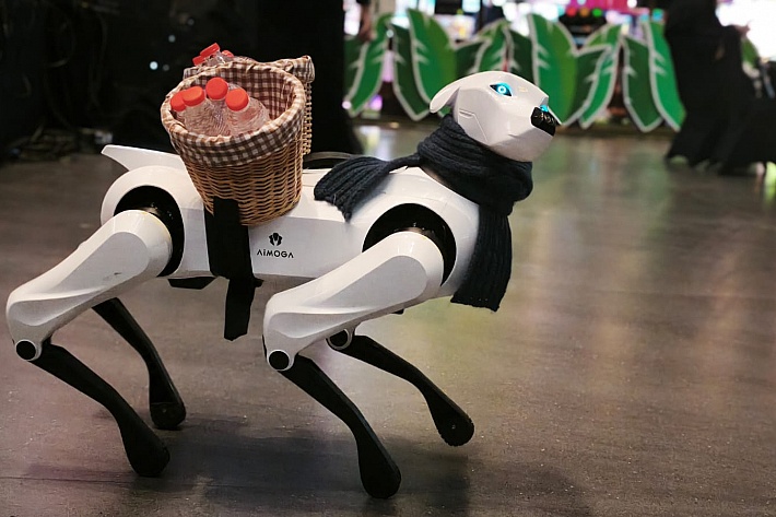Robot Pendamping Mornine dan Argos Siap Mengubah Rumah Pintar
