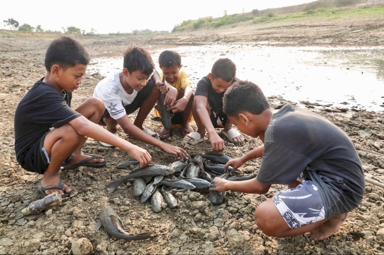 Ribuan Ikan Mati di Sungai Juwana dan Krisis Manajemen Air Bendung