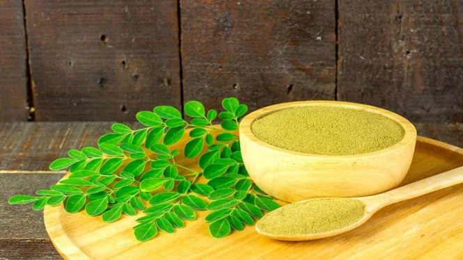 Daun Kelor dan Perlindungan Otak dari Stres Perundungan