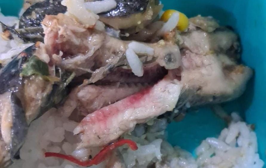 Program Makan Gratis Berujung Sakit: Alarm untuk Keamanan Pangan